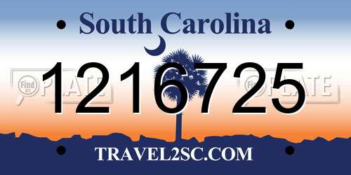 1216725 South Carolina License Plate