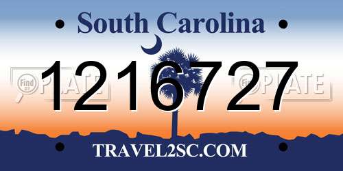 1216727 South Carolina License Plate