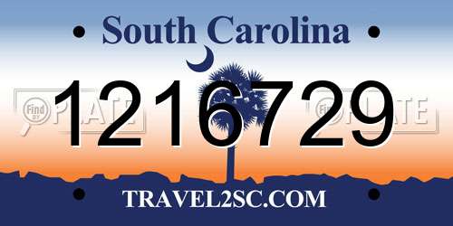 1216729 South Carolina License Plate