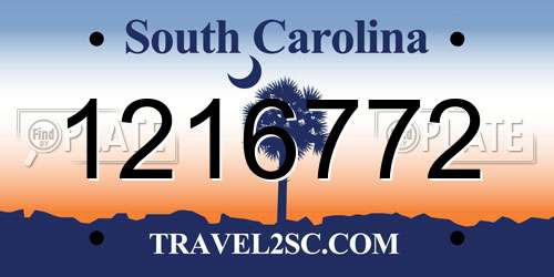1216772 South Carolina License Plate