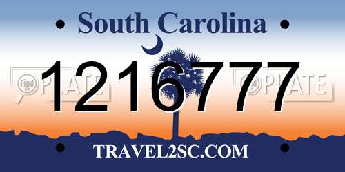 1216777 South Carolina License Plate