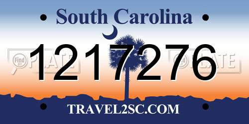 1217276 South Carolina License Plate