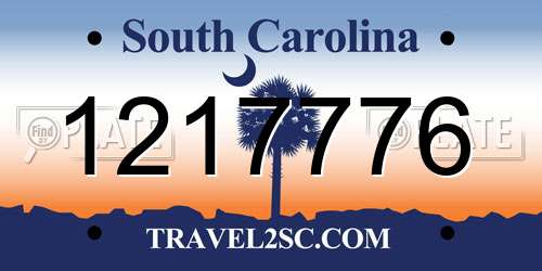 1217776 South Carolina License Plate