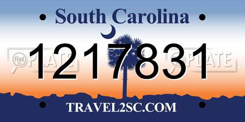 1217831 South Carolina License Plate