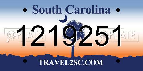 1219251 South Carolina License Plate