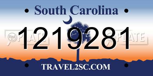 1219281 South Carolina License Plate