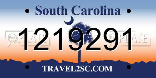 1219291 South Carolina License Plate