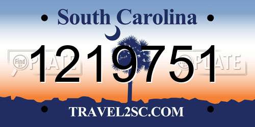 1219751 South Carolina License Plate