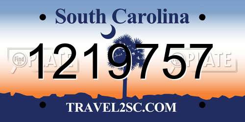 1219757 South Carolina License Plate