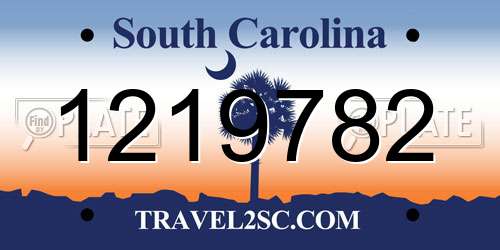 1219782 South Carolina License Plate