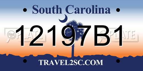 12197B1 South Carolina License Plate