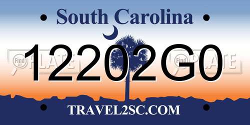 12202G0 South Carolina License Plate
