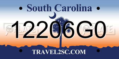 12206G0 South Carolina License Plate