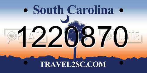 1220870 South Carolina License Plate