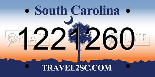 1221260 South Carolina License Plate