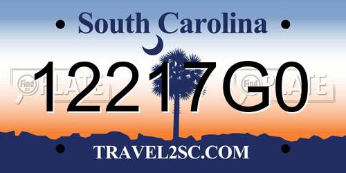 12217G0 South Carolina License Plate