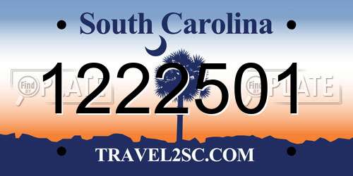 1222501 South Carolina License Plate