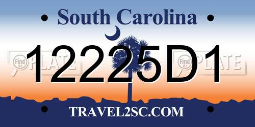 12225D1 South Carolina License Plate