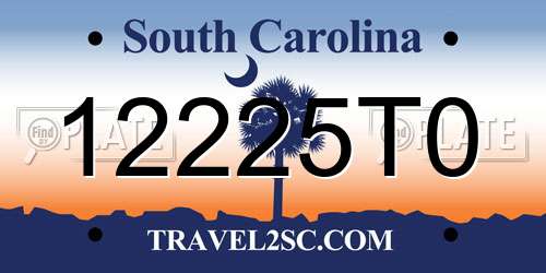 12225T0 South Carolina License Plate