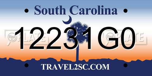 12231G0 South Carolina License Plate