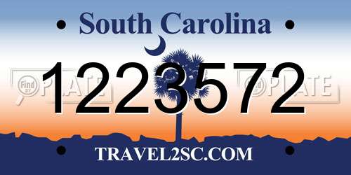 1223572 South Carolina License Plate