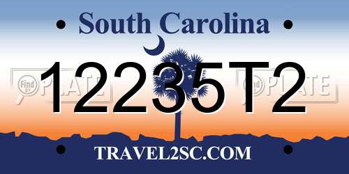12235T2 South Carolina License Plate