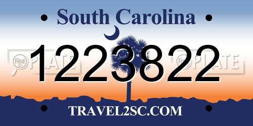 1223822 South Carolina License Plate