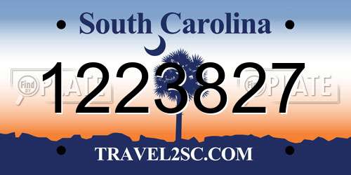 1223827 South Carolina License Plate
