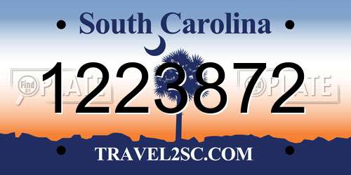 1223872 South Carolina License Plate