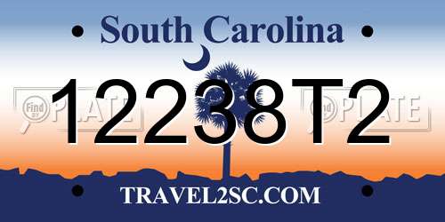 12238T2 South Carolina License Plate