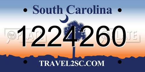 1224260 South Carolina License Plate