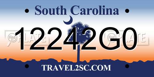 12242G0 South Carolina License Plate