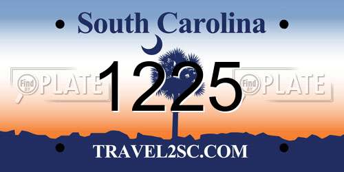 1225 South Carolina License Plate