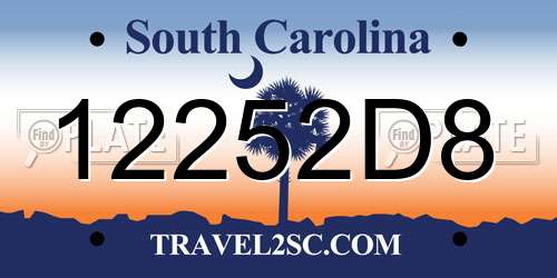 12252D8 South Carolina License Plate
