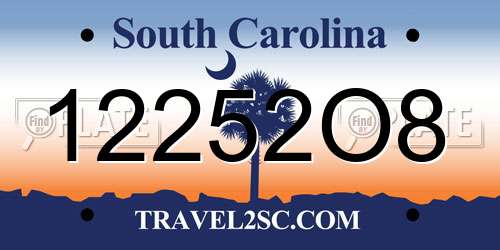 12252O8 South Carolina License Plate