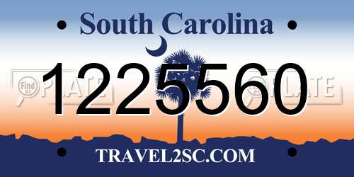 1225560 South Carolina License Plate