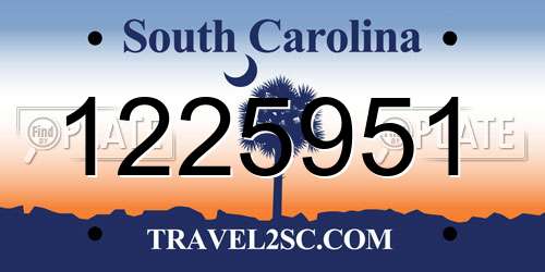 1225951 South Carolina License Plate
