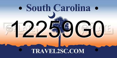 12259G0 South Carolina License Plate
