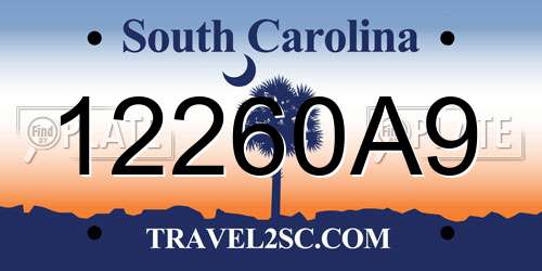 12260A9 South Carolina License Plate