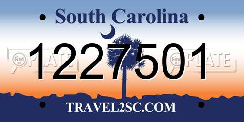 1227501 South Carolina License Plate