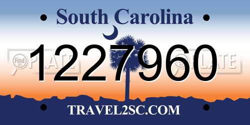 1227960 South Carolina License Plate