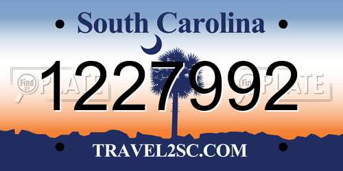 1227992 South Carolina License Plate