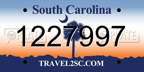 1227997 South Carolina License Plate