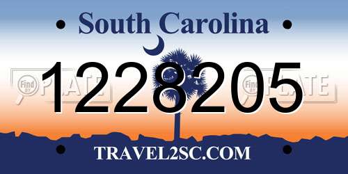 1228205 South Carolina License Plate