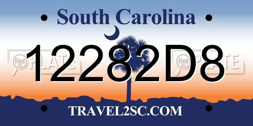 12282D8 South Carolina License Plate