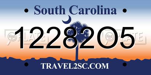 12282O5 South Carolina License Plate