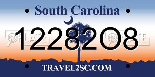 12282O8 South Carolina License Plate