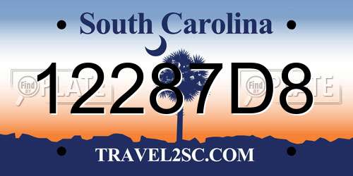12287D8 South Carolina License Plate
