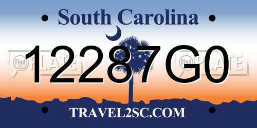 12287G0 South Carolina License Plate