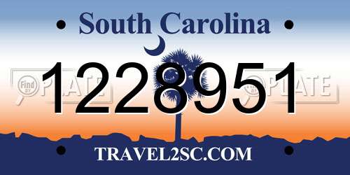 1228951 South Carolina License Plate